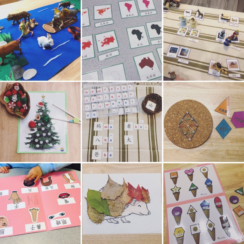 cccdab2b-412c-4d9d-aa6a-24f01309c7d1